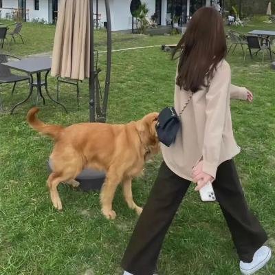 失踪少女名单